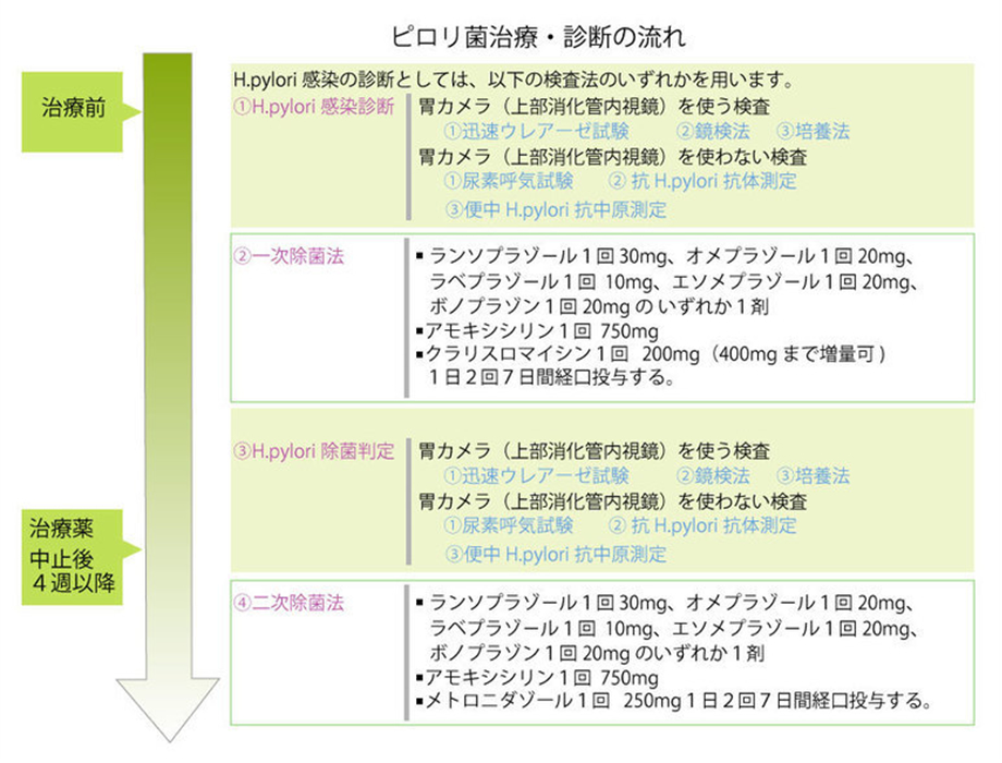 ピロリ菌治療　診断の流れ